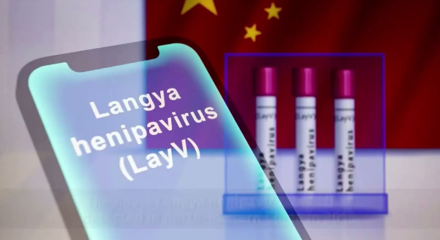LayV virüsü 35 kişide görüldü