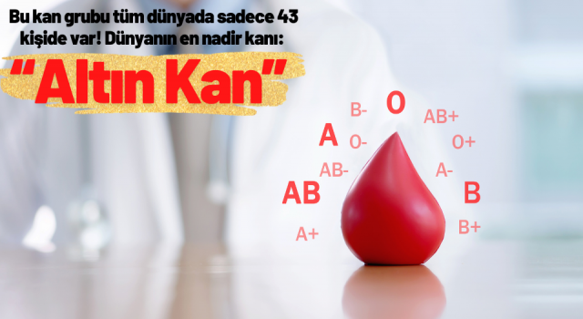 Bu kan grubu tüm dünyada sadece 43 kişide var! Dünyanın en nadir kanı: “Altın Kan”