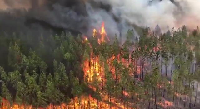 Queensland'daki 80 Orman Yangınıyla Mücadele