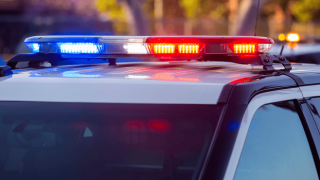 Sydney'de Çalıntı Araçla Kovalamaca: Polis Ateş Açtı, Genç Tutuklandı