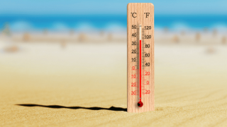 Sydney ve NSW'de Aşırı Sıcak Alarmı