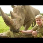 Robert Irwin's virtual Australia Zoo tour!