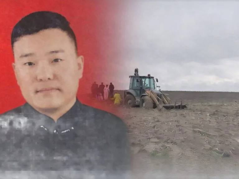 082a8f16-b696-4576-b177-e19be458aed1