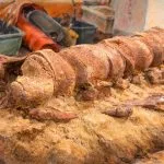llüstrasyon: Ocean Grove sahilinde çıkarılan 20 milyon yıllık balina fosili omurları