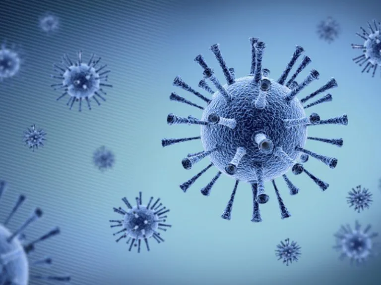 8c5cb65e-4607-4077-b935-b5c6612bb148