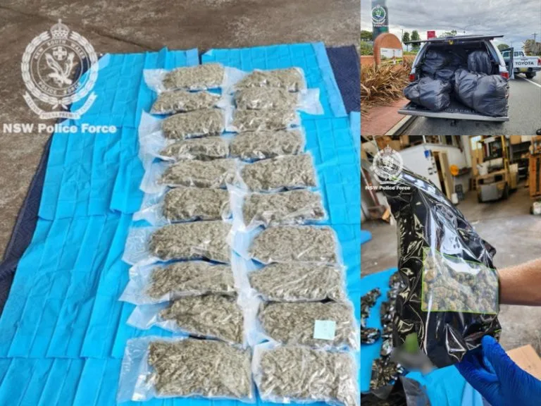 f6644ccf-7e83-4388-8348-821cea78b2ef