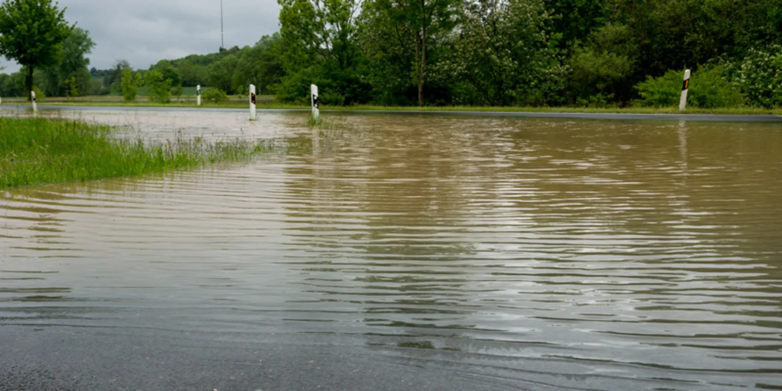 1c03736a-5e03-44a3-97ee-5528635710f9