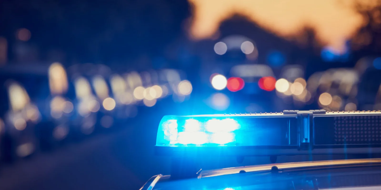 4fa5eec2-4d63-4d62-b56d-e4106c7ddfc5