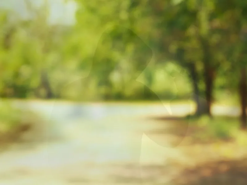 5459b457-da64-41b5-9818-77587d4bad78