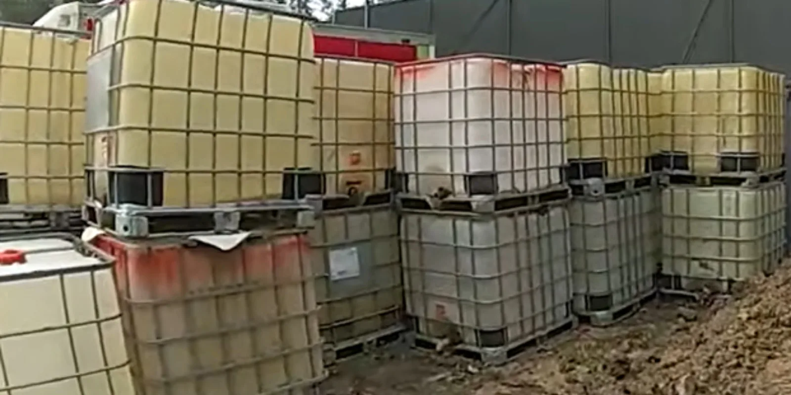 d837ebf5-bb09-4493-b711-a43f0815a83d