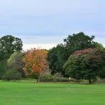 Moore Park’ta golf sahası küçülüyor, yeni park geliyor haberini anlatan editoryal haber görseli