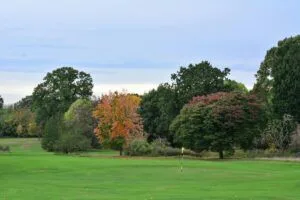Moore Park’ta golf sahası küçülüyor, yeni park geliyor haberini anlatan editoryal haber görseli