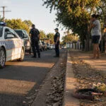 Queensland’da polis aracı köpeğe çarptı: Ağır yaralanan hayvan vuruldu konulu temsili editoryal görsel