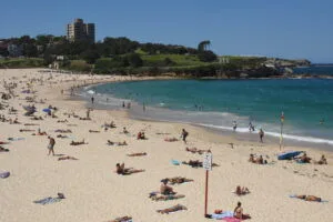 Coogee’de drone uçuşuna izin konulu editoryal haber görseli