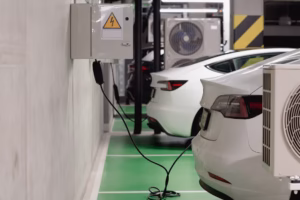 Avustralya limanları elektrikli araç yangınlarına hazır değil.