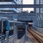 Sydney’de tren seferlerine elektrik hattı arızası engeli.